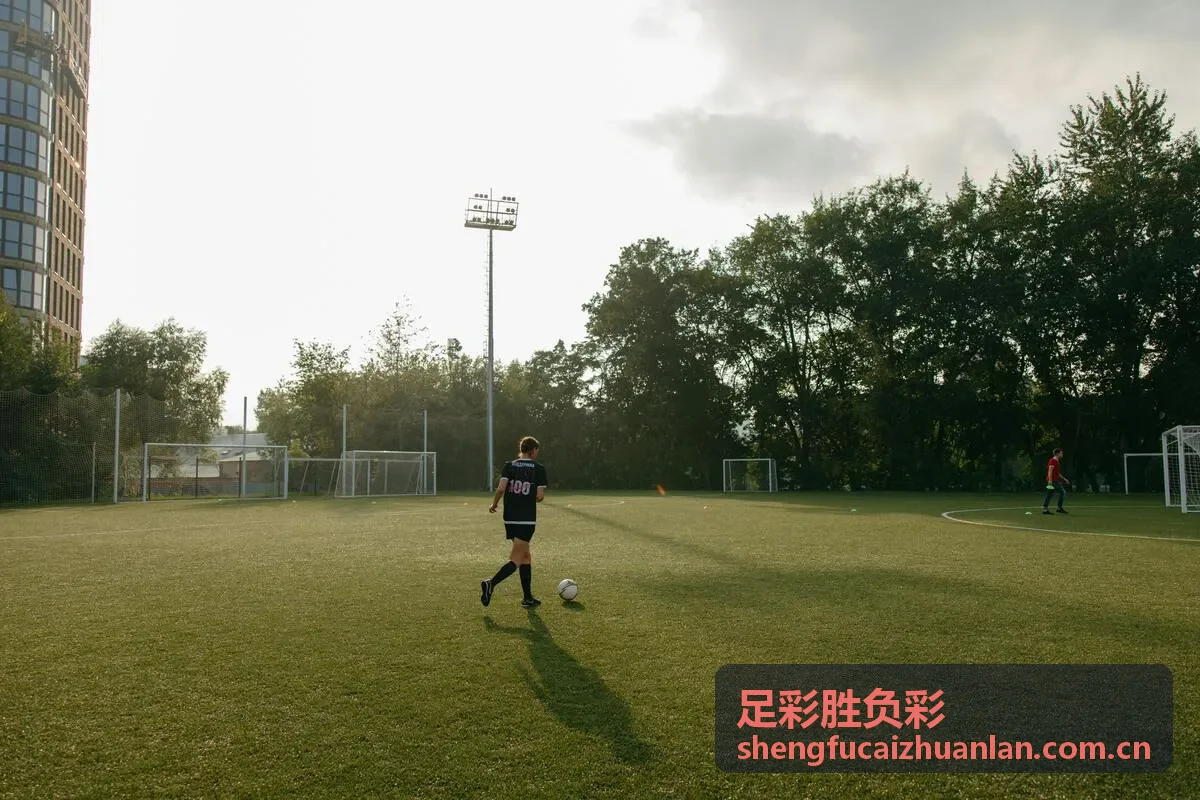 退休教师成为足彩胜负彩达人